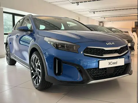 Annonce KIA XCEED Hybride 2024 d'occasion 