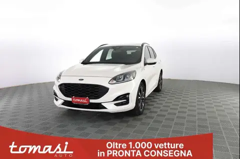 Used FORD KUGA Hybrid 2023 Ad 