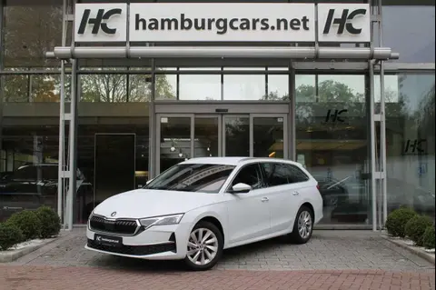 Used SKODA OCTAVIA Petrol 2024 Ad 