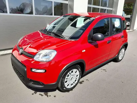 Annonce FIAT PANDA Essence 2024 d'occasion 