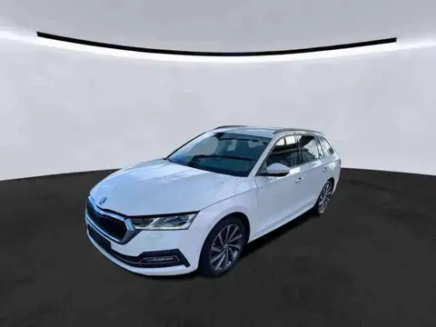 Annonce SKODA OCTAVIA Diesel 2020 d'occasion 