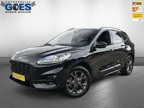 Annonce FORD KUGA Hybride 2023 d'occasion 