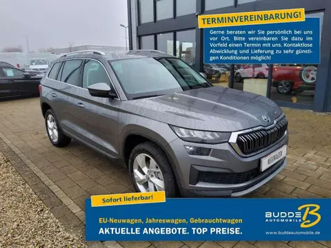 Annonce SKODA KODIAQ Diesel 2023 d'occasion 