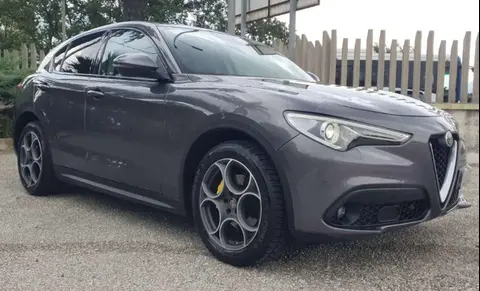 Annonce ALFA ROMEO STELVIO Diesel 2019 d'occasion 