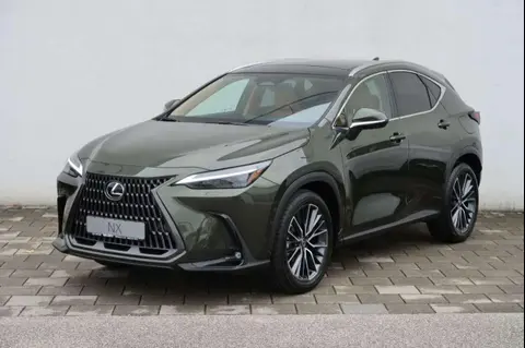 Used LEXUS NX Hybrid 2024 Ad 