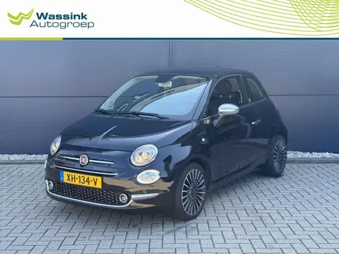 Used FIAT 500 Petrol 2019 Ad 