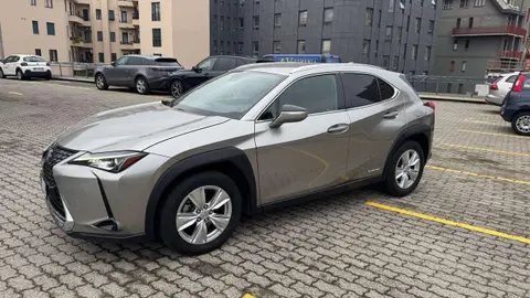 Used LEXUS UX Hybrid 2019 Ad 