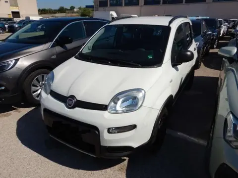 Annonce FIAT PANDA Essence 2019 d'occasion 