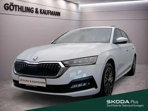 Annonce SKODA OCTAVIA Essence 2024 d'occasion 