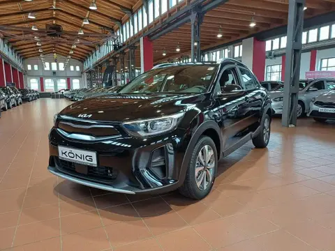 Annonce KIA STONIC Essence 2024 d'occasion 