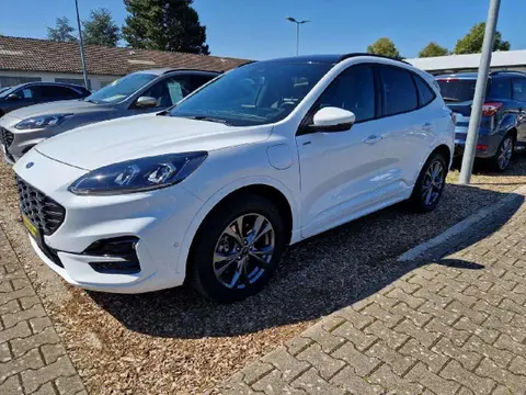 Used FORD KUGA Hybrid 2021 Ad 