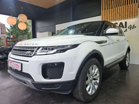 Used LAND ROVER RANGE ROVER EVOQUE Diesel 2019 Ad 