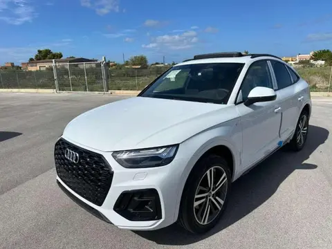 Used AUDI Q5 Hybrid 2024 Ad 