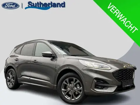 Used FORD KUGA Hybrid 2022 Ad 