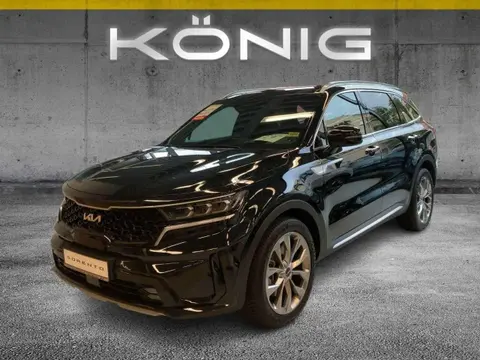 Used KIA SORENTO Diesel 2023 Ad 