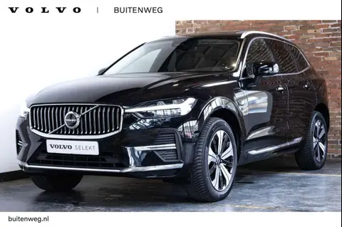 Annonce VOLVO XC60 Hybride 2022 d'occasion 