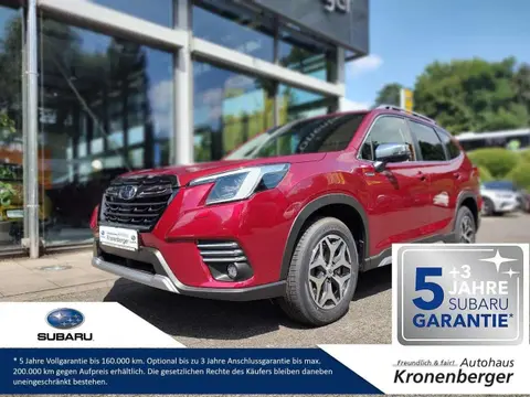 Annonce SUBARU FORESTER Essence 2024 d'occasion 