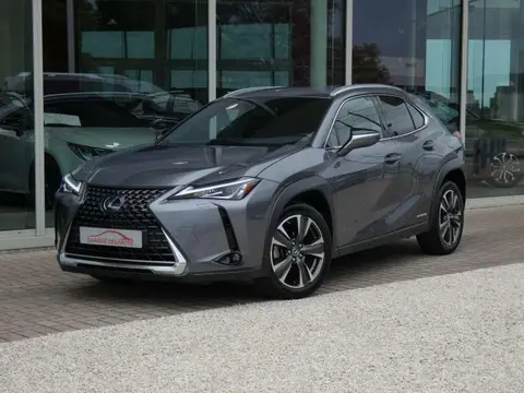 Used LEXUS UX Hybrid 2020 Ad 