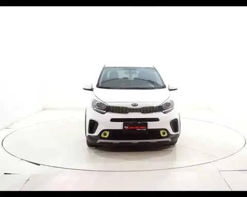 Used KIA PICANTO Petrol 2019 Ad 