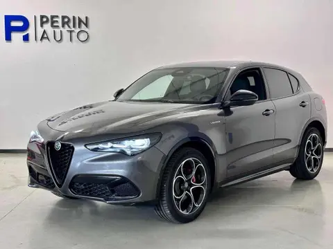 Annonce ALFA ROMEO STELVIO Diesel 2024 d'occasion 