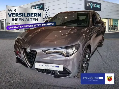 Used ALFA ROMEO STELVIO Petrol 2023 Ad 