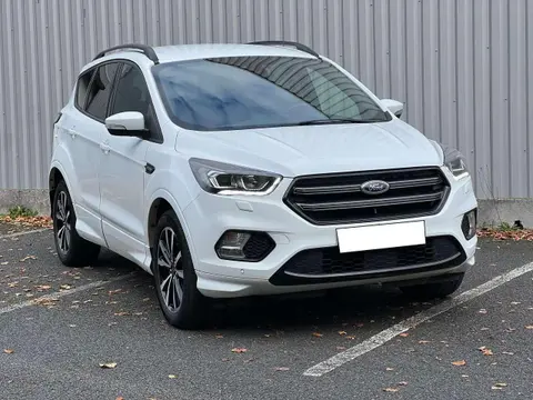 Annonce FORD KUGA Diesel 2019 d'occasion 