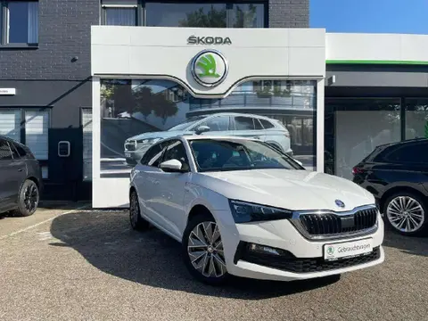 Used SKODA SCALA Petrol 2023 Ad 