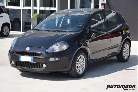 Used FIAT PUNTO Diesel 2014 Ad 