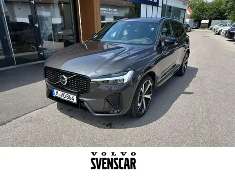 Annonce VOLVO XC60 Diesel 2024 d'occasion 