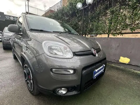 Used FIAT PANDA Hybrid 2022 Ad 