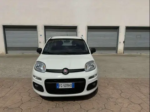 Annonce FIAT PANDA Diesel 2017 d'occasion 