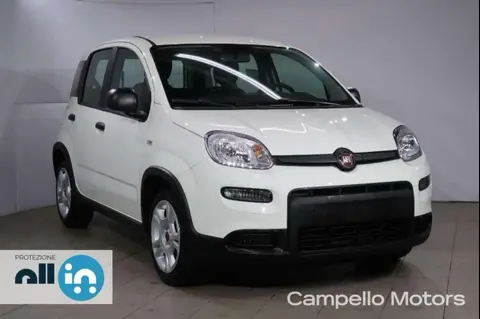 Used FIAT PANDA Hybrid 2024 Ad 