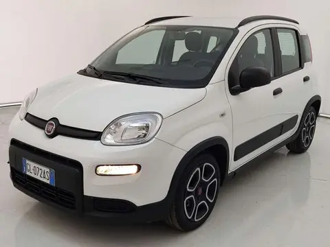 Used FIAT PANDA Hybrid 2022 Ad 