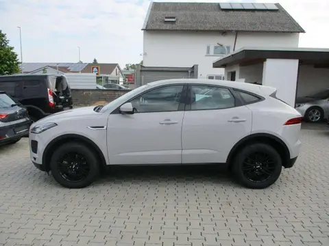 Used JAGUAR E-PACE Diesel 2019 Ad 