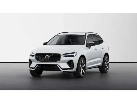 Annonce VOLVO XC60 Diesel 2024 d'occasion 