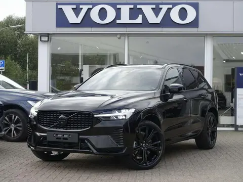 Annonce VOLVO XC60 Hybride 2024 d'occasion 