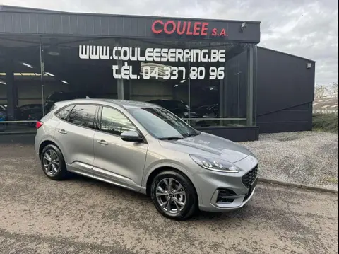 Used FORD KUGA Petrol 2023 Ad 