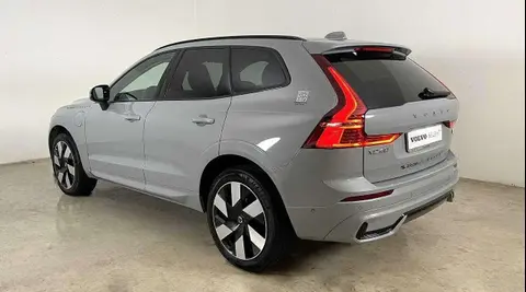 Used VOLVO XC60 Hybrid 2023 Ad 