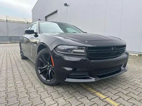 Annonce DODGE CHARGER Essence 2017 d'occasion 