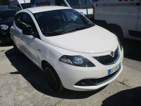 Used LANCIA YPSILON Hybrid 2021 Ad 