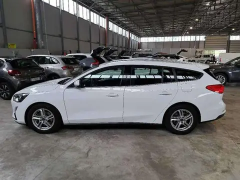 Used FORD FOCUS Diesel 2020 Ad 