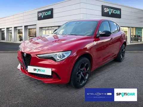 Annonce ALFA ROMEO STELVIO Essence 2023 d'occasion 