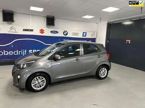 Annonce KIA PICANTO Essence 2021 d'occasion 