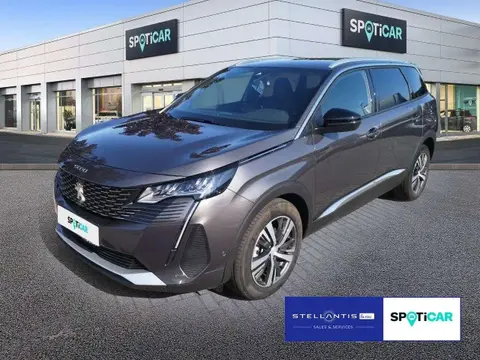 Used PEUGEOT 5008 Petrol 2024 Ad 