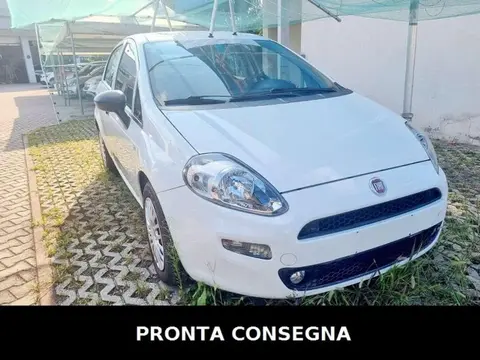 Annonce FIAT PUNTO Diesel 2018 d'occasion 