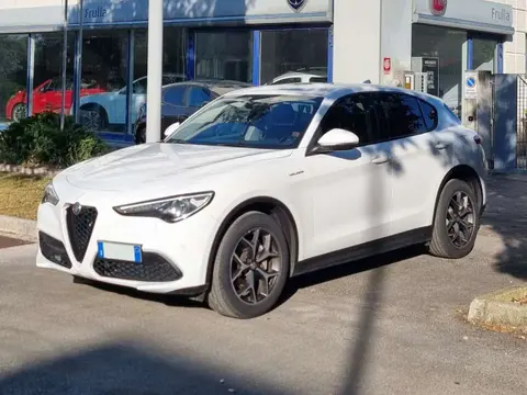 Used ALFA ROMEO STELVIO Petrol 2020 Ad 