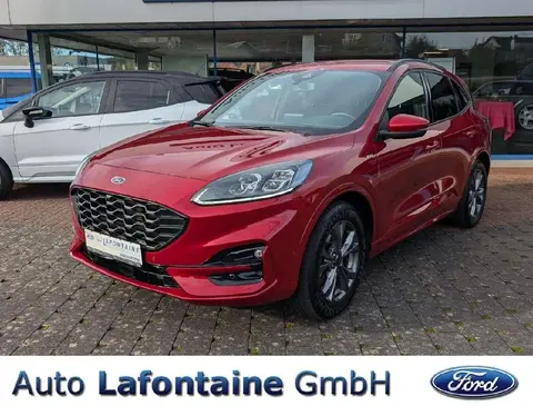 Used FORD KUGA Petrol 2020 Ad 