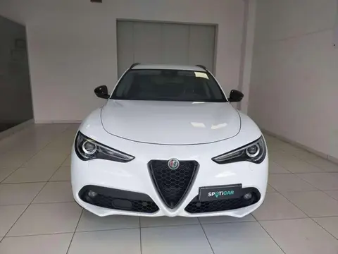 Used ALFA ROMEO STELVIO Diesel 2019 Ad 