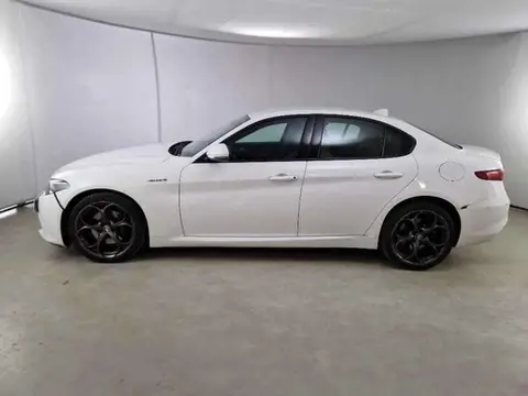 Used ALFA ROMEO GIULIA Diesel 2020 Ad 