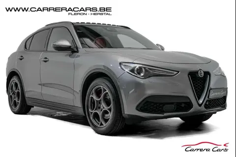 Annonce ALFA ROMEO STELVIO Diesel 2019 d'occasion 